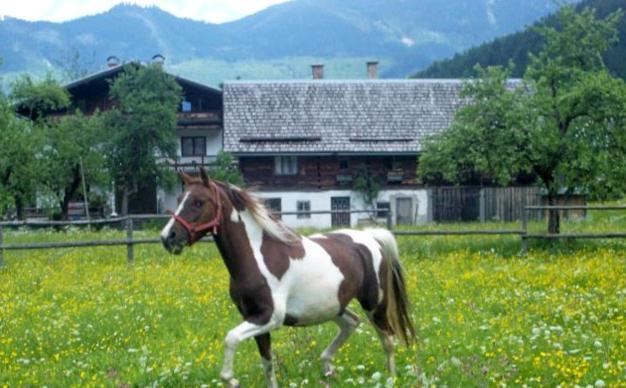 Jugendgaestehaus Gosauschmied Zewnętrze zdjęcie